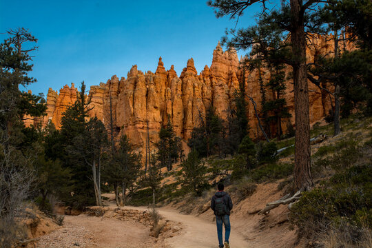 Alone on the Navajo trail. Forward's view of the amazing cliffs. - Powered by Adobe