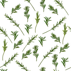 Rosemary seasoning, juicy fresh pattern. An endless pattern of green leaves. For wrapping paper. Ideal for wallpaper, surface textures, textiles.