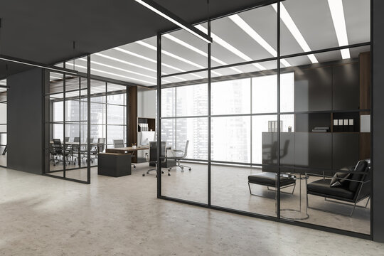 Grey CEO office interior with waiting area