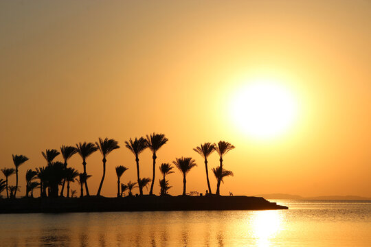 Tropical island with silhouettes of palm trees in ocean in dawn. Summer vacations