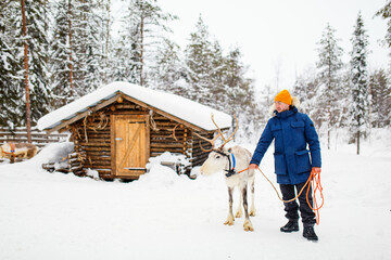 Young man and reindeer in Lapland