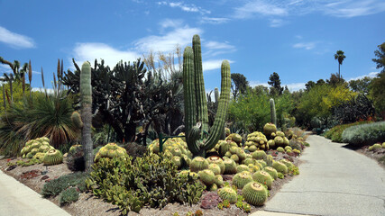 The Los Angeles County Arboretum and Botanic Garden