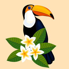 Vector illustration, toucan and plumeria. Element for design, clipart.