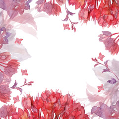 physocarpus opulifolius_frame eye I