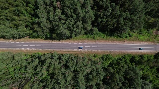 Areal view of the cars moving in fogy forest at summer 