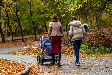 young mothers walk with their children in strollers in the autumn park
