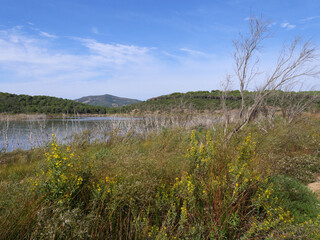 Lago di Baratz, Naturschutzgebiet auf Sardinien - 452206290