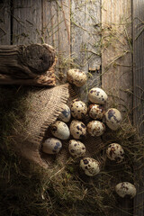 Quail eggs on an old wooden table.