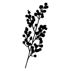 Leaves in black and white