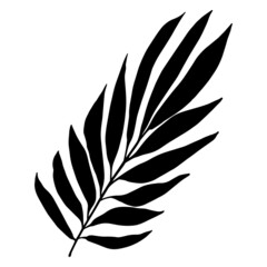 Leaves in black and white