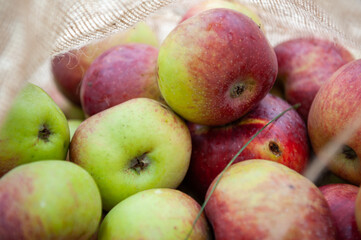 a jute bag of apples