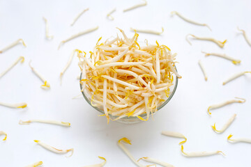 Bean sprouts on white background