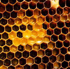 Hexagonal textured honeycomb background close-up. Black broun yellow background. Agricultural concept