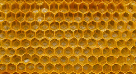 Hexagonal textured honeycomb background close-up. Black broun yellow background. Agricultural concept