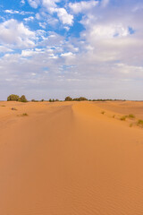Fototapeta na wymiar Beautiful landscape of the Sahara Desert, erg Chebbi, Merzouga, morocco