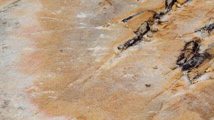 beach rock with eroded texture in yellow rust tones