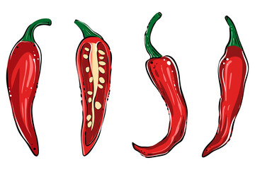 Set of red chili peppers, color, vector