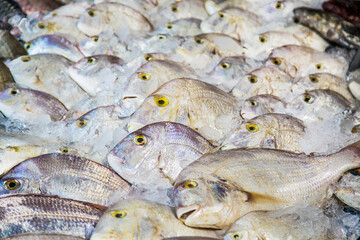 White fish on open fish market in Hurghada, Egypt