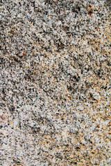 Grayish Rough Textured Natural Rock