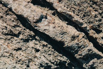 Macro Shot of Brown Stone