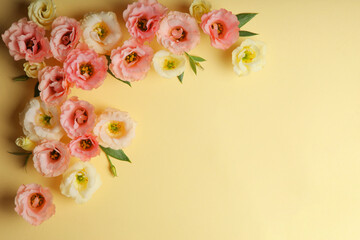 beautiful flower arrangement on a colored background with place for text. 