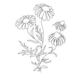 Set of continuous one line drawing of a flowers in a pots. Beautiful flowers isolated on a white background. Vector illustration
