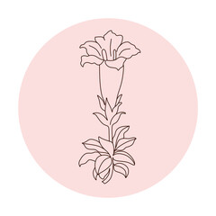 Set of continuous one line drawing of a flowers in a pots. Beautiful flowers isolated on a white background. Vector illustration
