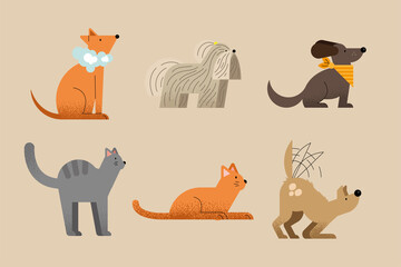 six washing pets icons
