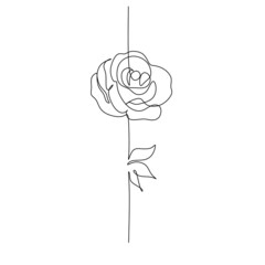Set of sketches, hand drawn rose, line art. Vector illustration
