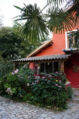Landhaus mit leuchtend roter Fassade und üppigem Grün und exotischen Pflanzen im Garten im Sommer...