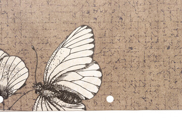 Fototapeta na wymiar butterfly on paper