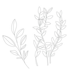 Abstract plant one line drawing. Hand drawn modern minimalistic design for creative logo, icon or emblem.