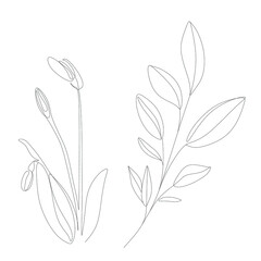 Abstract plant one line drawing. Hand drawn modern minimalistic design for creative logo, icon or emblem.