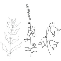 Abstract plant one line drawing. Hand drawn modern minimalistic design for creative logo, icon or emblem.