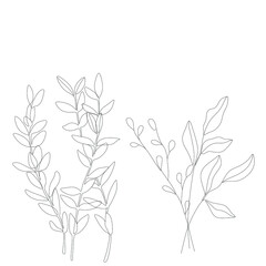Abstract plant one line drawing. Hand drawn modern minimalistic design for creative logo, icon or emblem.