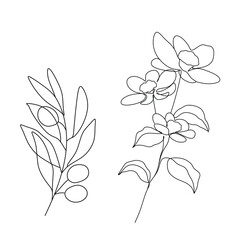 Abstract plant one line drawing. Hand drawn modern minimalistic design for creative logo, icon or emblem.