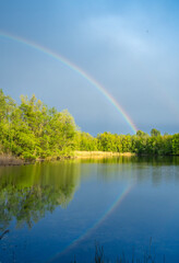 Summer forest with beautiful Rainbow 9