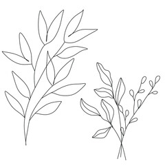 Fototapeta premium Flowers and plants line