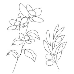 Flowers and plants line