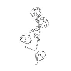 Flowers and plants line