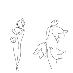 Flowers and plants line