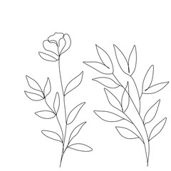 Flowers and plants line