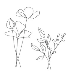 Flowers and plants line