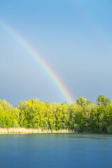 Summer forest with beautiful Rainbow 1
