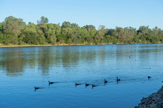 Lake Natoma, Folsom, California