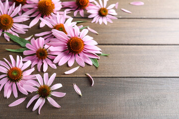 Beautiful blooming echinacea flowers, petals and leaves on wooden table. Space for text