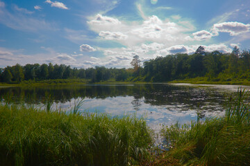Obraz premium lake in the forest