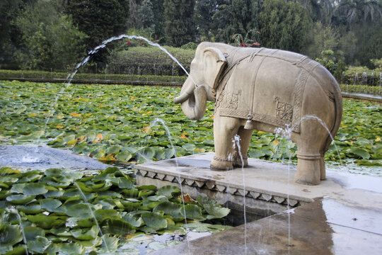 Royal Lotus Pond For The Maids At Saheliyon Ki Bari In Udaipur, Rajasthan, India, Asia