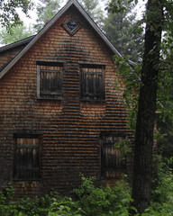 old wooden house in forest