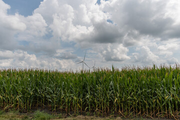 Modern rural Indiana, agriculture and green energy combined